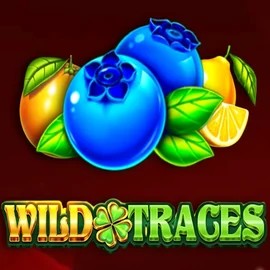 Enjoy Wild Traces by Amusnet Interactive – logo hosted on betgg.eu